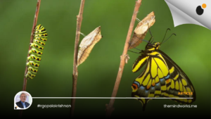 The excruciating pain of transformations